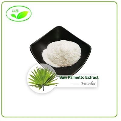 Saw Palmetto Extract Powder
